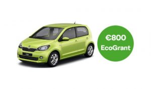Citigo EcoGrant