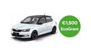 Fabia EcoGrant