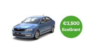 Rapid EcoGrant